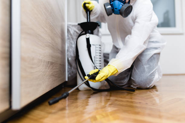 Trusted Emporium, PA Pest Control Experts