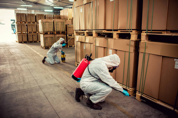 Best Flea Control Services  in Emporium, PA