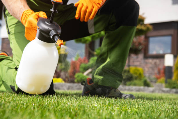 Best Termite Control Services  in Emporium, PA