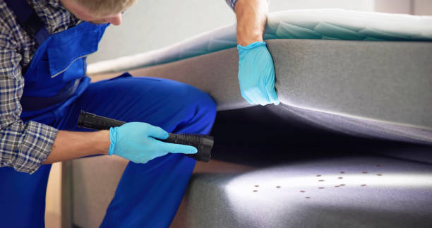 Best Exterminator Services  in Emporium, PA