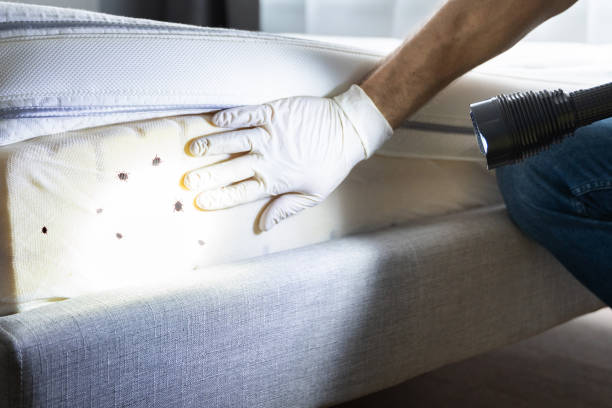 Best Pest Prevention Services  in Emporium, PA