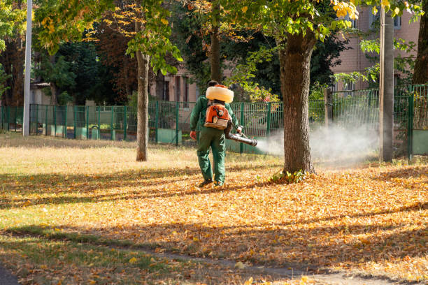 Best Best Pest Control Companies  in Emporium, PA